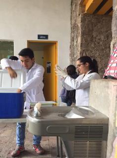 En la Escuela de Nivel Medio Superior de Guanajuato (ENMSG), existen tres bebederos, de los cuales sólo dos están en funcionamiento; son utilizados por la comunidad escolar (docentes, administrativos