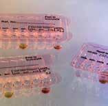 415,00 (1) Ampollas con medio nutritivo, indicador de ph y esporas de C. Stearothermophilus (1-5x 10 CFU / ampolla).