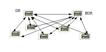 un segmento determinado. Intervalo Hello e Intervalo Muerto: OSPF intercambia paquetes de saludo en cada segmento.