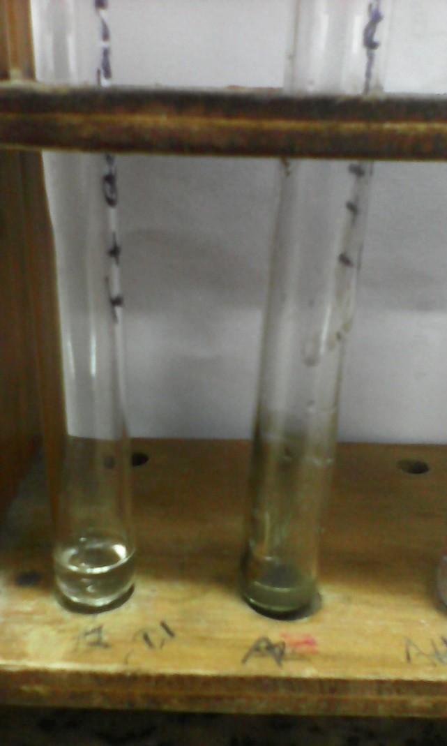 3. Prueba de Schiff Se colocaron en 2 tubos de ensayo 5 gotas del reactivo de Schiff. A uno de los tubos se adiciono 1 gota de benzaldehído, al otro tubo 1 gota de acetona.