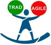 Tradicionales vs Agiles Las Metodologías denominadas Tradicionales centran esfuerzos en documentación y avances o procesos prefijados, mientras que las Metodologías Agiles perfieren un esquema mas