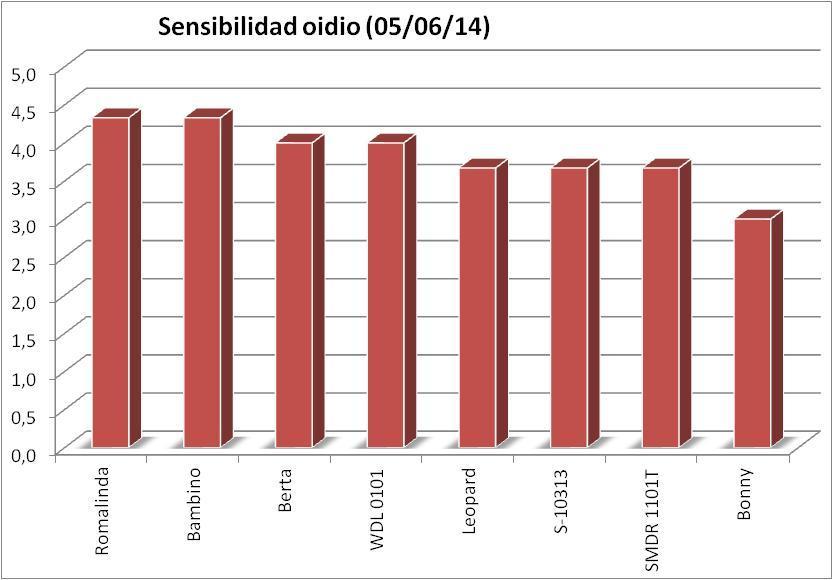 Cultivar Sensibilidad oidio (0-5) Romalinda 4,33 Bambino 4,33 Berta