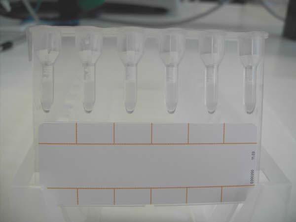 sangre homogenizada + 0,5 ml de Diluyente 2) REACTIVOS:Tarjetas DiaMed neutras ( NaCl/test enzimático/aglutininas frias ) Viales I a III del panel eritrocitario Diacell Diluyente DiaMed 2.