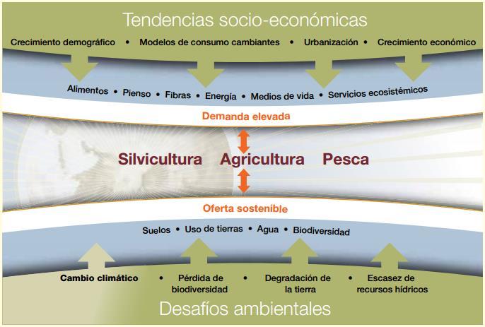 Por qué la Agricultura Sostenible Adaptada al Clima - ASAC? Se espera que la población mundial alcance los 9700 millones de personas para 2050; la producción alimentaria debe incrementar en un 70%.