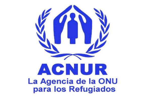 L'Organització de les Nacions Unides Altres entitats: ACNUR: Alt comissionat de les Nacions