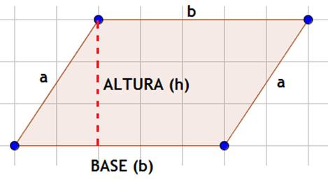 Por tanto, el área de un paralelogramo cualquiera es el producto de la base por la altura. El área es: A b h.
