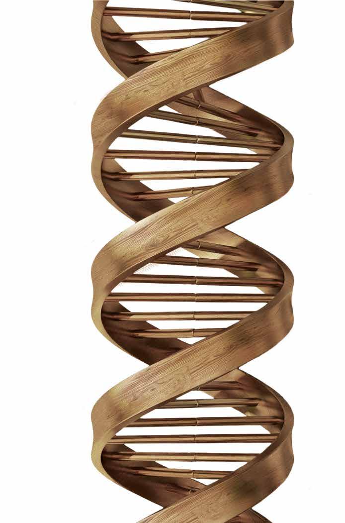 CNOLOGÍAS PARA NUESTRO ADN componentes industriales para el trabajo de una amplia gama de materiales.