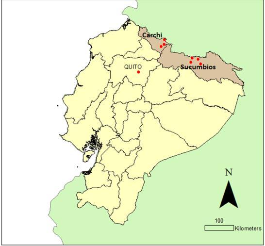 Ecuador El programa se llevó a cabo en centros urbanos de las provincias de Carchi y Sucumbíos con alta concentración de refugiados colombianos.