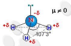 5) Dibuje la geometría molecular de las siguientes sustancias H 2 O CH 4 NH 3