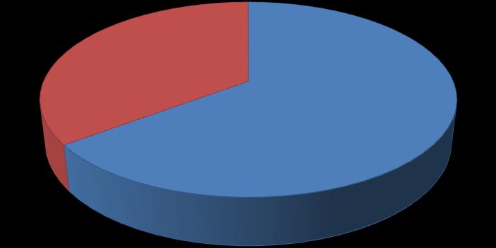 Canarias, un 16% elige Gran Canaria Fuerteventura 13% 46% Islas Canarias 27% Gran