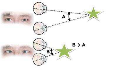 y para únicamente 3D, de 50º a 70º. 1.3.3.3 Convergencia Visual Las pupilas de cada ojo proyectan una imagen separada de los objetos en cada retina.