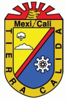 Aprobado por el XVI Ayuntamiento de Mexicali, publicado en el Periódico Oficial del Estado de Baja California el 28 de enero de 2000 CAPÍTULO I DISPOSICIONES GENERALES Artículo 1.