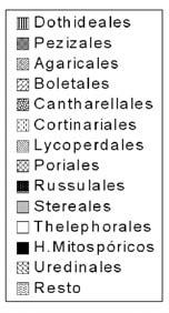 Fig. 1. Porcentajes de taxones citados en Teruel en función de su posición sistemática.