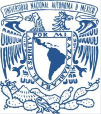 UNIVERSIDAD NACIONAL AUTÓNOMA DE MÉXICO ESCUELA NACIONAL DE ARTES PLÁSTICAS PROYECTO 2.