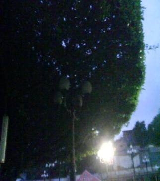 Las luminarias utilizadas para el alumbrado público del parque forman parte del mobiliario urbano de un municipio.