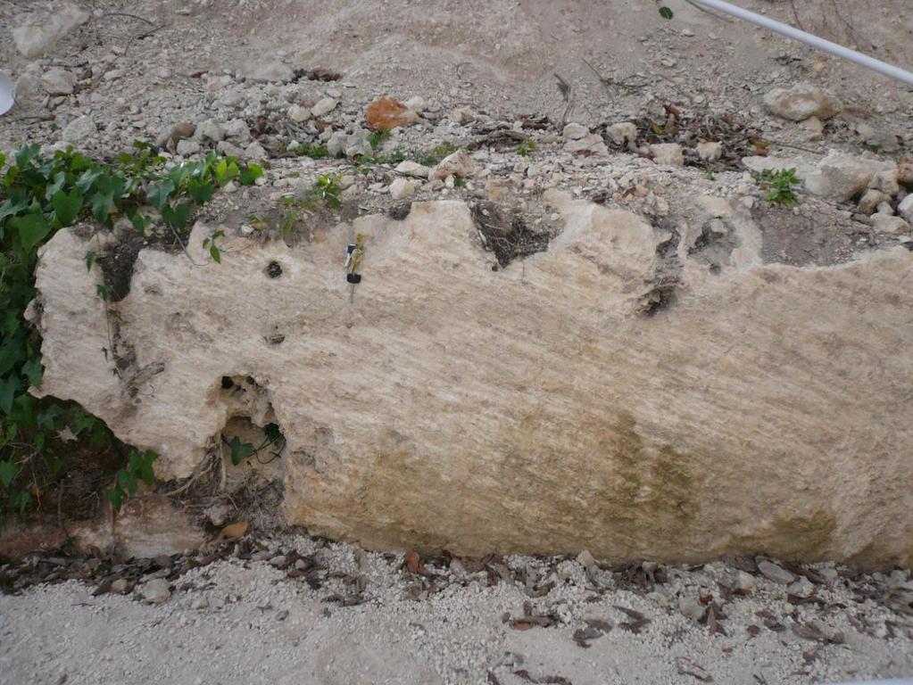 Página 45 de 87. Foto 8: Depósitos de duna fósil del complejo inferior, mostrando laminación de alto ángulo. (Pt 957), cerca de la carretera Bávaro-El Salado. 2.1.