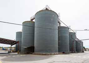 Los cereales se secan y posteriormente se almacenan en silos que están