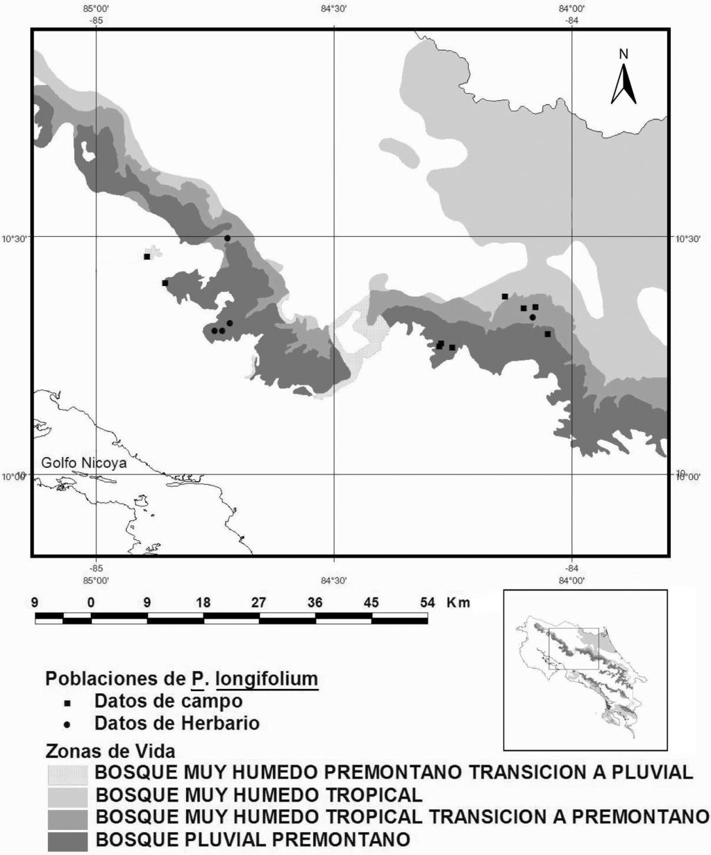 MUÑOZ & WARNER - Poblaciones silvestres de Phragmipedium 67 La Palma pero sin coordenadas geográficas. En el Herbario Nacional se encuentran muestras de dos plantas de P.