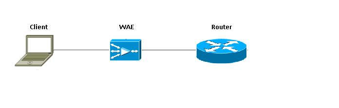 El router que funciona con el escudo de protección IOS entre los dispositivos WAAS, ve solamente el tráfico optimizado.