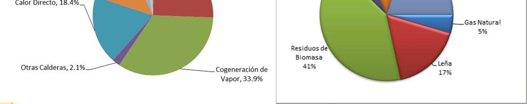 consumo de energía neta (%)