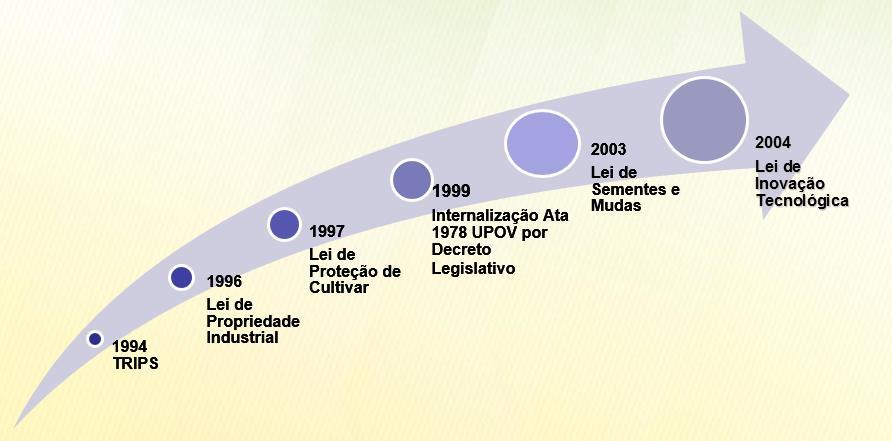 Principales marcos regulatorios relativos a semillas en el Brasil