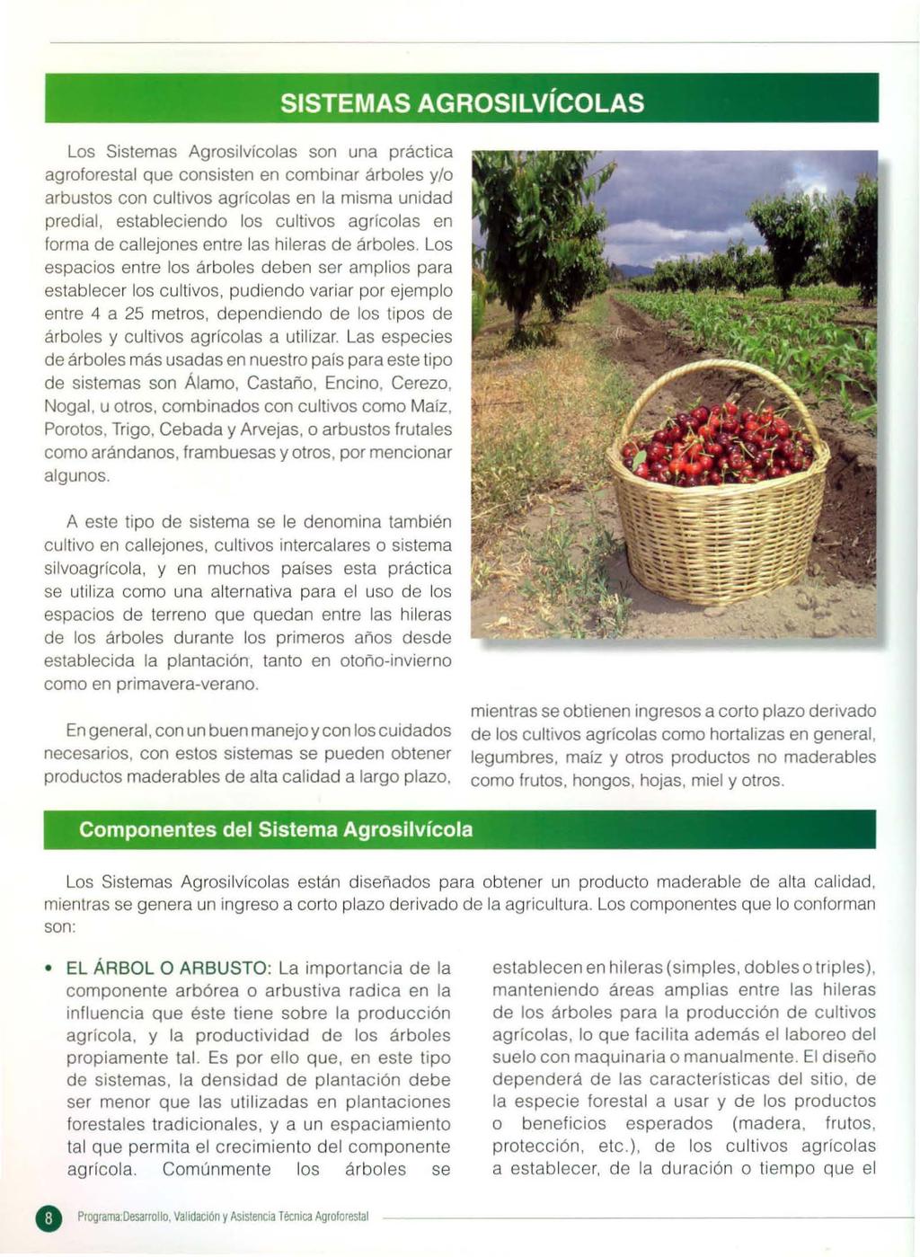 Los Sistemas Agrosilvícolas son una práctica agroforestal que consisten en combinar árboles y/o arbustos con cultivos agrícolas en la misma unidad predial, establecíendo los cultivos agrícolas en