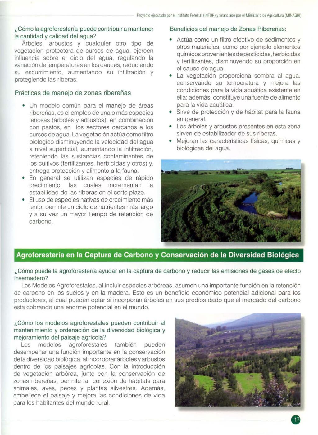 ---- Proyecto ejecutado por ellnsl1lulo forestal (INFOR) y financiado por el Ministerio de Agricultura (MINAGRI) Cómo la agroforestería puede contribuir a mantener la cantidad y calidad del agua?