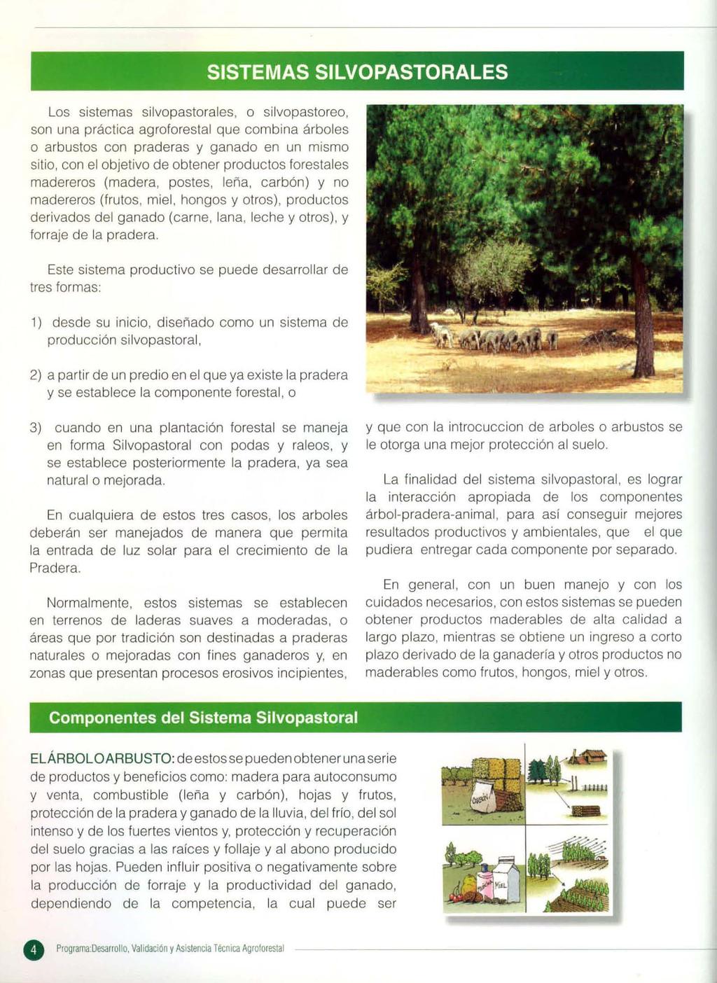 Los sistemas silvopastorales, o silvopastoreo, son una práctica agroforestal que combina árboles o arbustos con praderas y ganado en un mismo sitio, con el objetivo de obtener productos forestales