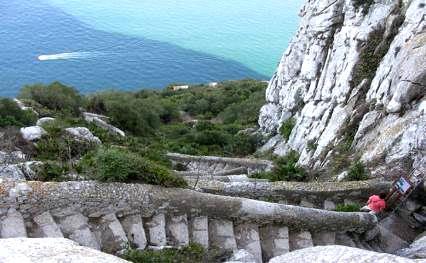 Cena y alojamiento. Día 3: `Vuelta a la Roca Por la cima de la Reserva Natural de Gibraltar.