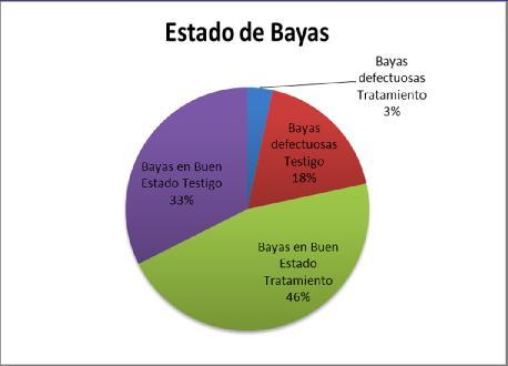 1- Ensayos Cultivo Vid -Nutrientes RESULTADOS: Nutrición en Vid: San Juan, El Zonda Estado de las bayas, solo un 3% de las pertenecientes a cv.