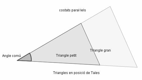 9 C.6 Dibuixa al teu dossier dos triangles amb raó de semblança 2. Comprova que realment són figures semblants i que la raó de semblança és 2. Determina l àrea dels dos triangles que has dibuixat.