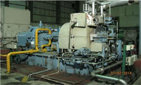 Triveni Turbine Ltd. Es el líder en fabricación de turbo generadores a base de vapor.