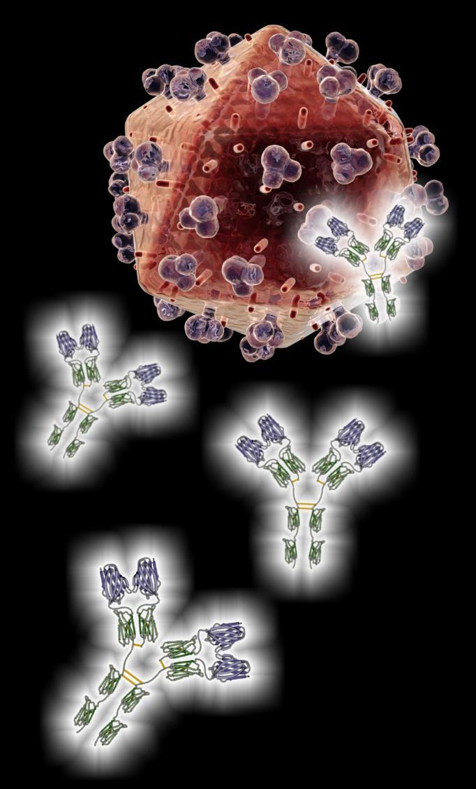 ELISAs y Generaciones: 1ra generación Ag: lisado purificado de VIH Pocas sensibilidad y especificidad 2da generación Ag: proteínas recombinantes de VIH.