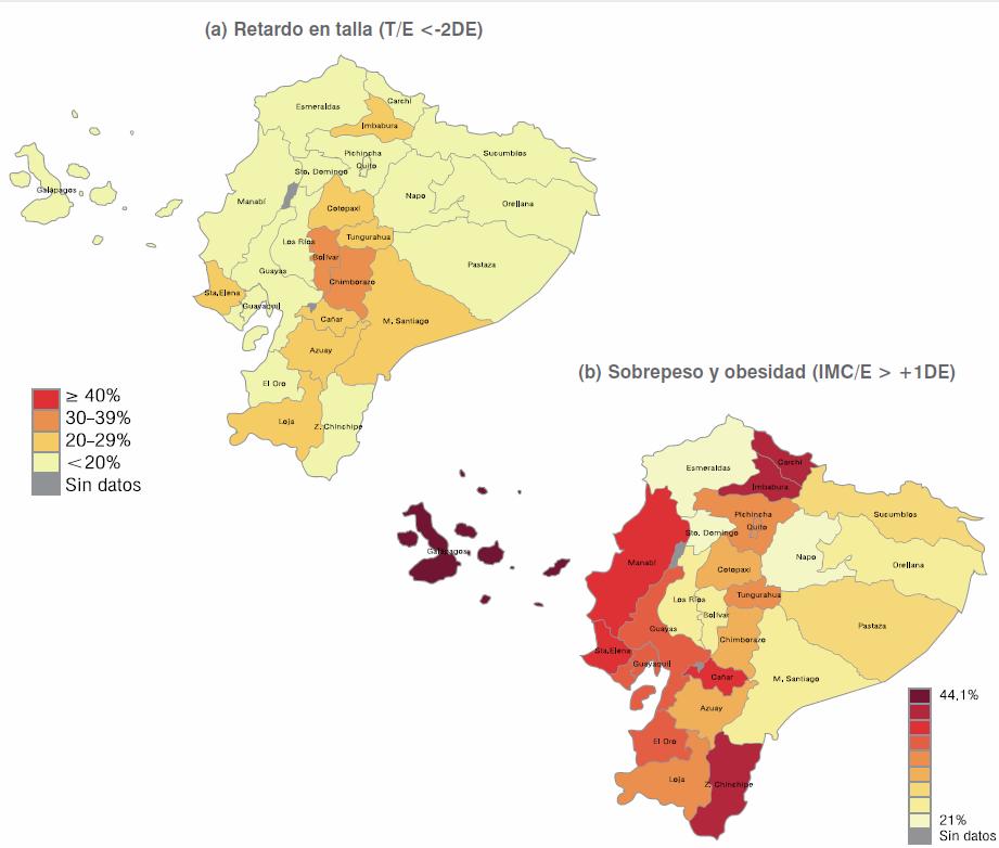 por provincias, evidenciando que Guayas se encuentra en un retardo de talla menor al 20%, mientras que en sobrepeso y obesidad se encuentra cercano al 44,1%: Figura 10.