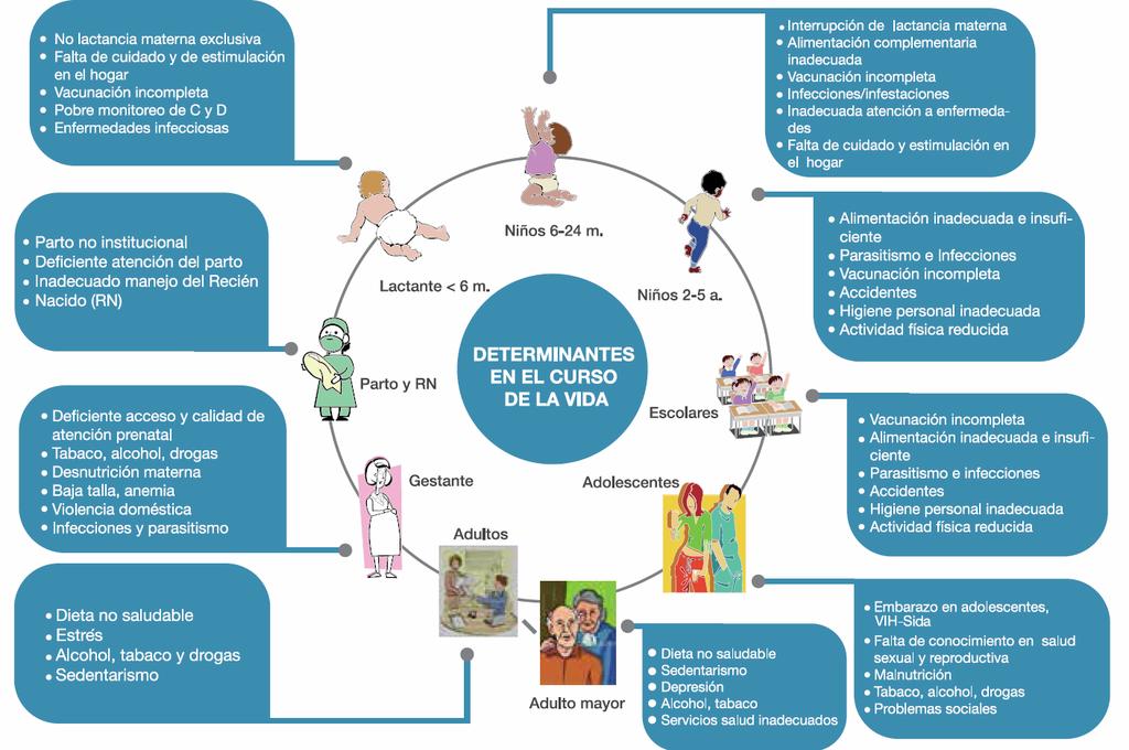 Ministerio de Salud Pública y el Instituto de Estadísticas y Censos. A continuación, se muestra un cuadro de determinantes de los problemas nutricionales con enfoque de ciclo de vida: Figura 13.