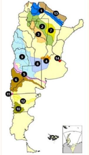 Organizaciones de Cuenca en Argentina 1. Comité Regional del Río Bermejo 2. Comité de la Cuenca del Río Juramento Salado 3. Comité de la Cuenca del Río Salí Dulce 4.