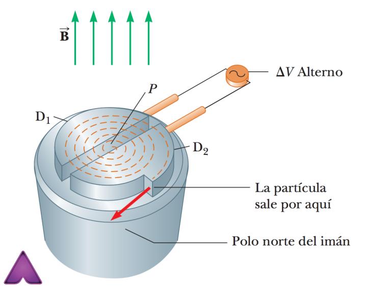 a) Si un haz de iones de neón con carga + e se mueve en una trayectoria circular de 7.4 cm de radio en el campo magnético, determinar la masa del isótopo de neón.