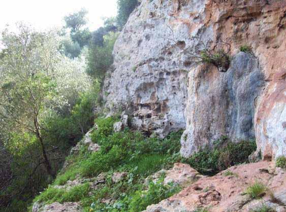 3. ALTRES Descripció: Fonteta situada sota les balmes penjades a mitjan penya-segat del costat sud del Barranc de Son Cifre.