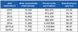 Principales departamentos productores: La producción nacional se encuentra distribuida de la siguiente forma: y los demás departamentos de la República suman el 5% restante. 3.4% y Baja Verapaz 2.1%.