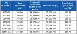 Aspectos productivos Área, producción y rendimiento Distribución de la producción a nivel nacional (%): Porcentaje de producción en qq <1% 1% - 5% 6% - 10% 11% - 90%
