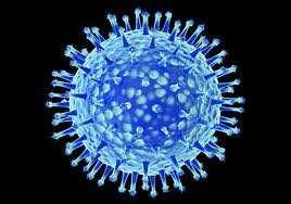 Viroides: pequeñas moléculas de ARN monocatenarias desnudas.