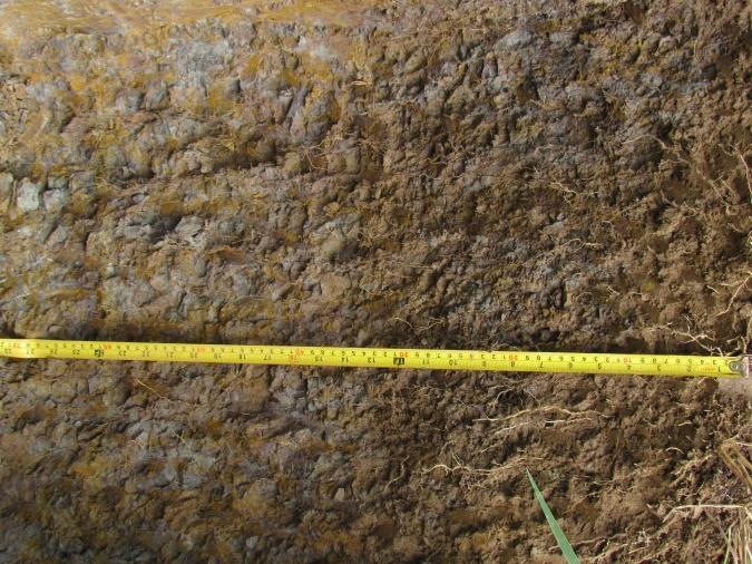 A, 2016 Esta unidad de suelo, presenta un gran desbalance entre el calcio y el magnesio, que posiblemente puede inhibir la acción de elementos como potasio y de micro elementos.