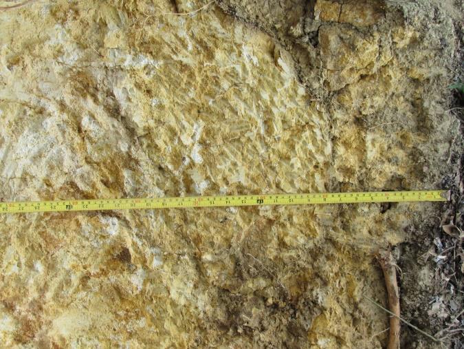 corresponde a rocas sedimentarias del tipo de areniscas cuarcíticas, sus limitaciones se presentan por alta presencia de roca dentro del perfil, baja fertilidad, baja profundidad efectiva, alta