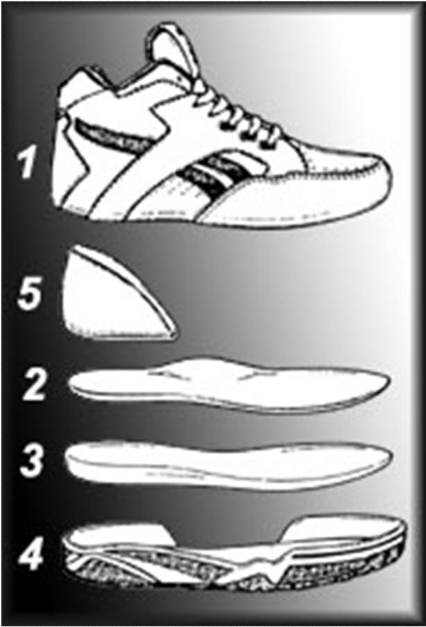 PARTES DE LA ZAPATILLA 6 VESTIMENTA Y COMPLEMENTOS Introducción. Características del calzado. Partes de la zapatilla.