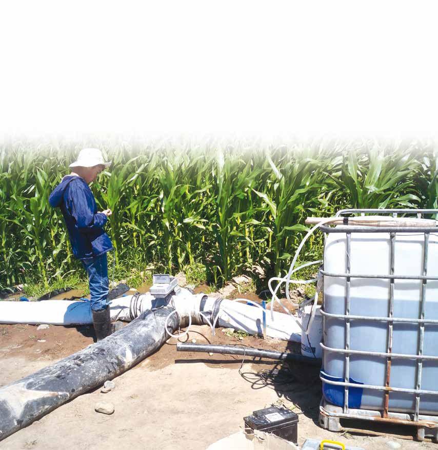 Figura 4. Masa de nitratos potencialmente lixiviables por unidad de supericie (kg/ha) en una temporada de riego de maíz grano.