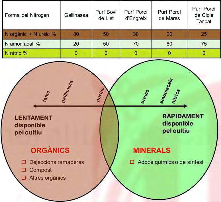 Nutrients a aplicar Fertilitzants orgànics Conceptes generals dels principals elements fertilitzants FORMES EN QUÈ PODEM TROBAR EL N AL SÒL i PRODUCTES FERTILITZANTS
