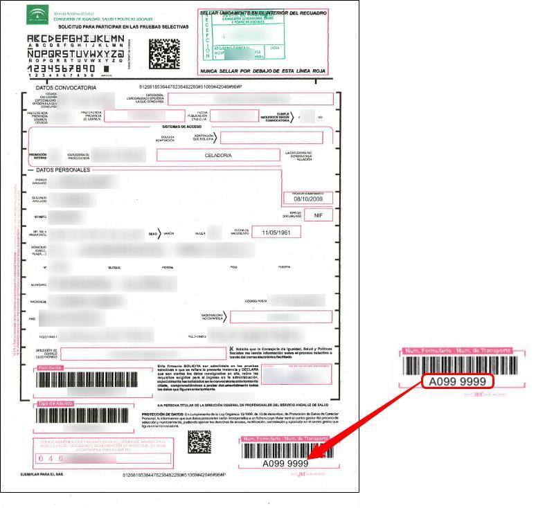 Las casillas referentes al Documento de identidad se rellenarán o no dependiendo del tipo de documento que posee el aspirante (DNI, NIE o Pasaporte).
