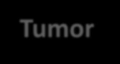 Selección de tratamiento en nuestro día a día Tumor