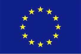 Federation of Veterinarians of Europe (FVE) European Board of Veterinary