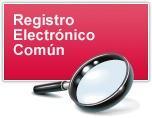 A través del Registro Electrónico Común, el ciudadano puede presentar ante la Administración cualquier solicitud, escrito o comunicación, en formato electrónico.